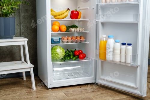 Preview: White Refrigerator With Open Door Showing Food Inside, Grey Concrete Wall, Wooden Floor, and Plant
