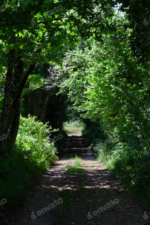 Preview: Nature in summer in the French region of Ardeche