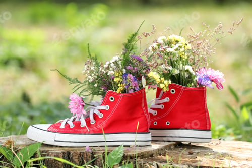 Preview: Beautiful flowers in shoes on stump outdoors