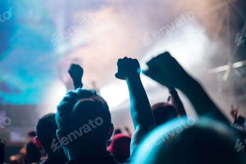 Preview: crowd at concert - summer music festival