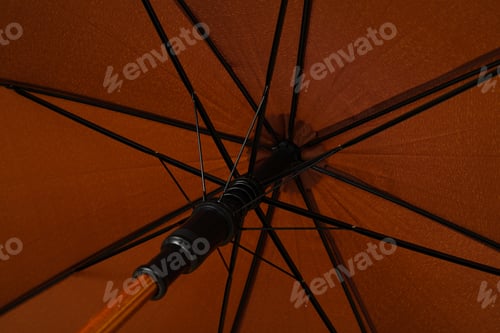 Preview: The main attribute in rainy weather - umbrella