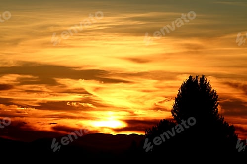 Preview: Natural background of magnificent orange swirling sunset and backlit trees in the foreground.