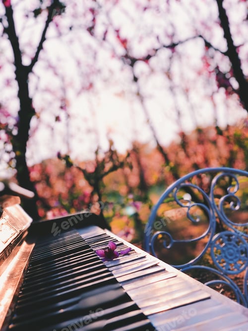 Preview: Blooming trees and piano