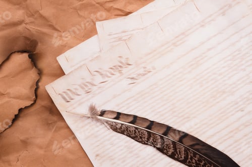 Preview: Old historical script writing and quill feather.