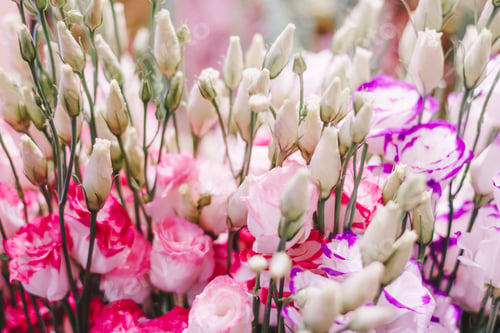 Preview: Beautiful floral background
