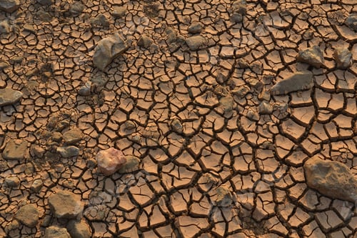 Preview: Closeup shot of dried river under the sunlight