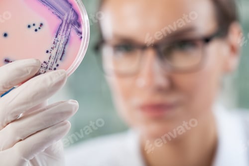 Preview: Microbiologist Holding A Petri Dish With Bacteria, Horizontal