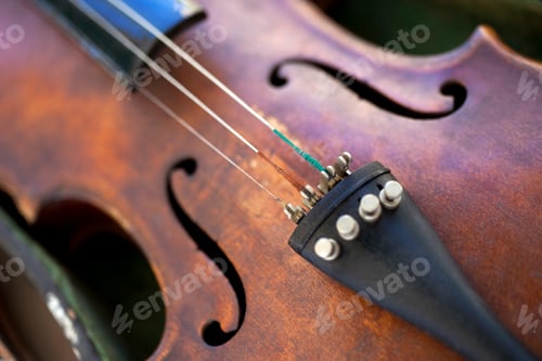 Preview: Details of an old violin