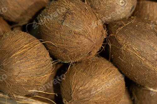 Preview: Close-up of exotic coconut on supermarket counter