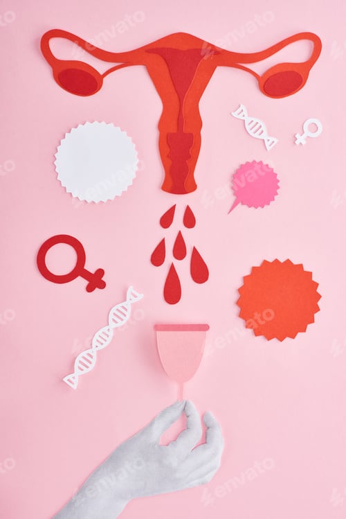 Preview: cropped view of hand holding menstrual cup near red paper cut female reproductive system with blood