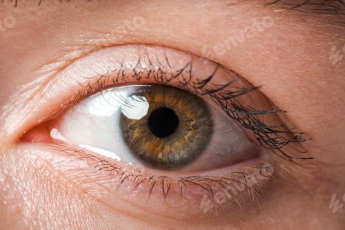 Preview: close up of young woman looking at camera