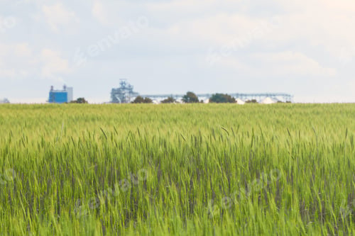 Preview: Wheat fields and elevator