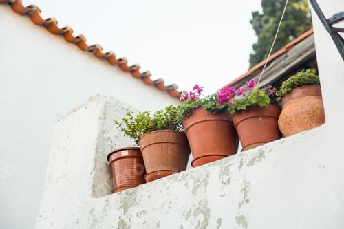 Preview: Flower pots on a ledge in Óbidos, Portugal