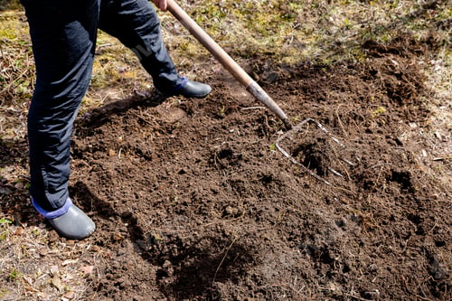 Preview: Farmer working in the garden in spring. Organic fertilization of the grass field, preparing garden