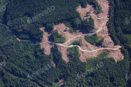 Preview: Logging Roads2