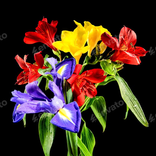 Preview: Tricolor bouquet on a black background