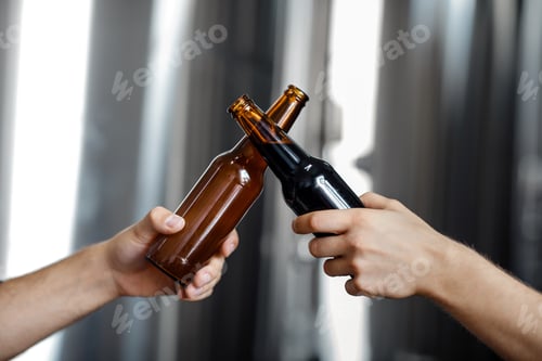 Preview: Manufacturing beer, tasting finished craft drink and small business of partners