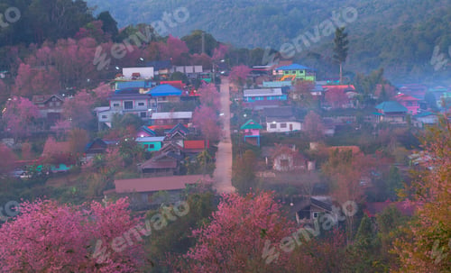 Preview: Sakura cherry flowers blossom trees of national park. Natural landscape background. Pink color