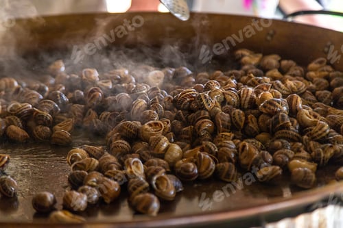 Preview: escargot is fried in a frying pan. Selective focus.