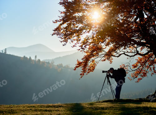 Preview: Hiker tourist man with camera on grassy valley on background of mountain landscape under big tree.