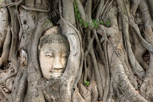 Preview: Ayutthaya Buddha Head in Tree Roots, Buddhist temple Wat Mahatha