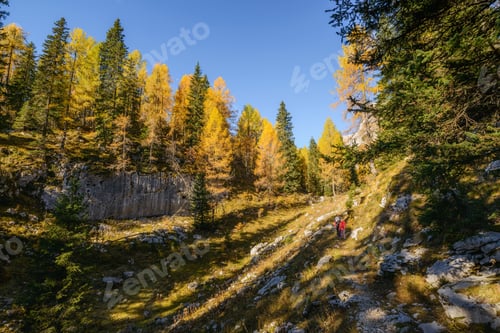 Preview: Autumn in the mountains