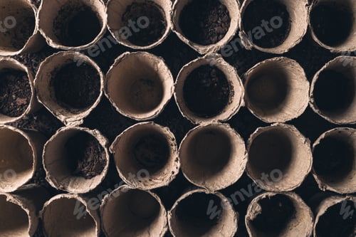 Preview: Biodegradable peat pot on greenhouse compost humus soil