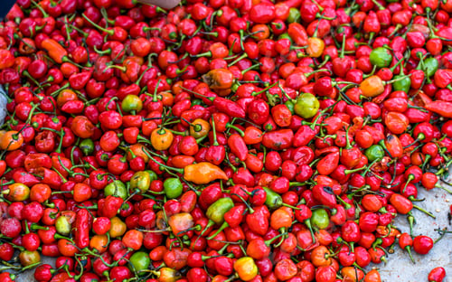 Preview: fresh chilli at the farmer's market