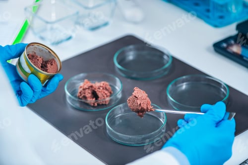 Preview: Microbiologist Preparing Sample of Canned Pet Food for Quality Control Test in Laboratory
