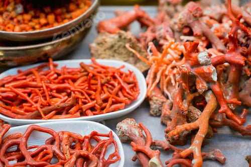 Preview: Pieces of dried red coral, close-up photo.