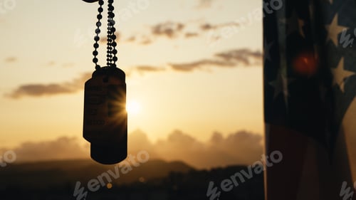 Preview: Silhouette of military metallic plate against memorial day american flag