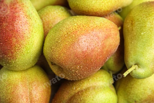 Preview: Many ripe juicy pears with water drops as background, closeup