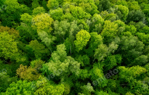 Preview: Aerial landscape