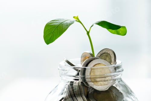 Preview: Seedling Growing from Coins in Glass Jar