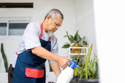 Preview: Senior Asian Man In Apron Using Water Sprayer For His Indoor Plants