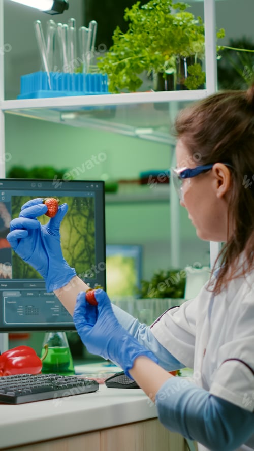 Preview: Scientist researcher injecting strawberry with pesticides