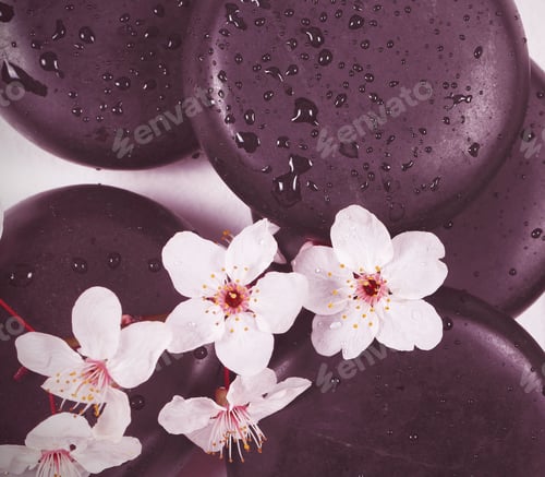 Preview: Black Stones For Massage Lie On A White Table