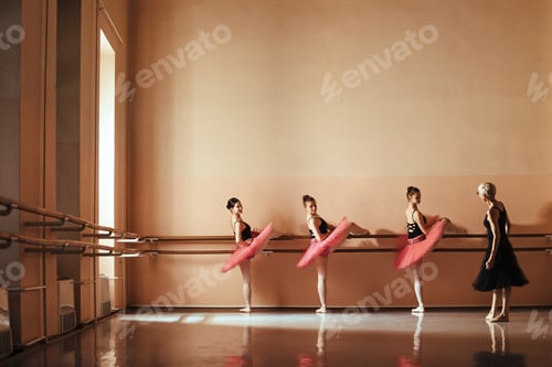 Preview: Group of ballerinas having a class with their ballet teacher.