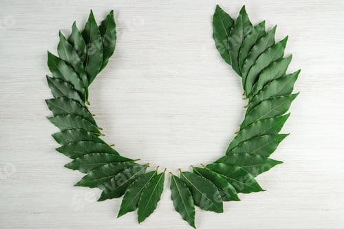 Preview: Laurel leaves organized in wreath form against white background.