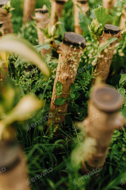 Preview: garden center with copy space