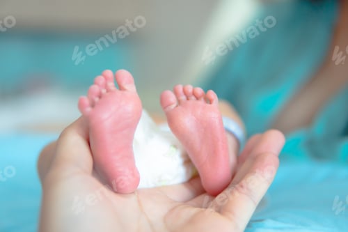 Preview: Parent holding in the hands feet of newborn baby, The love and generosity of a mother for her child.