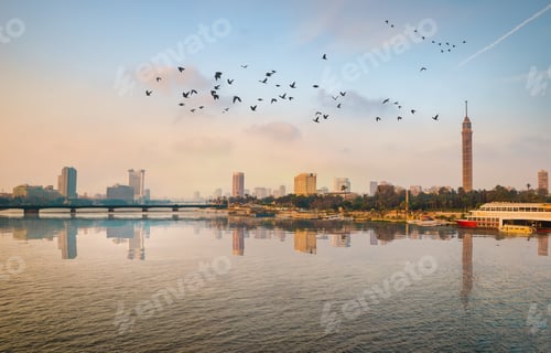 Preview: The Flock of birds over river Nile