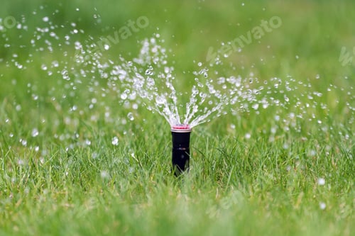 Preview: Sprinkler in action watering grass
