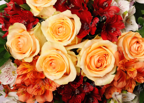 Preview: Beautiful bouquet