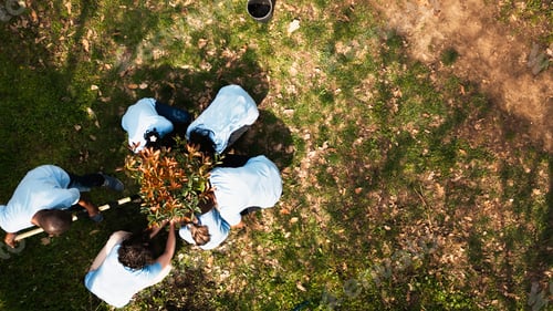 Preview: Drone shot of volunteers group planting trees and preserving nature