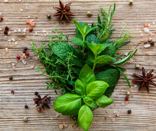 Preview: Fresh herbs and spices on wooden background top view