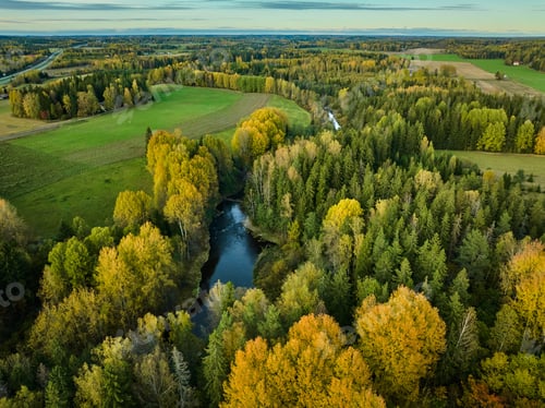 Preview: Aerial view of lush autumn forest and river.