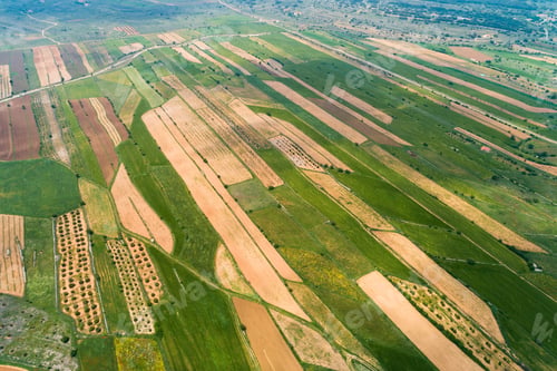 Preview: Aerial view of green fields in the north of the Valencian community, Spain.