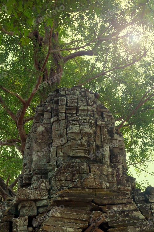 Preview: Jungle temple
