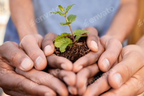 Preview: Plants, people and hands of teamwork, support and charity for earth day, sustainability or climate